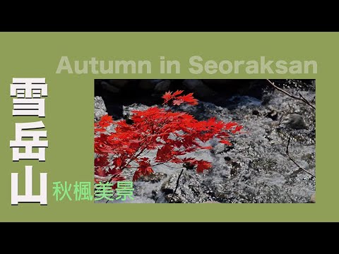 超美秘境】雪岳山絕美寺院曝光！????韓國旅行必去 Seoraksan's Autumn Beauty #walkingtour #雪嶽山