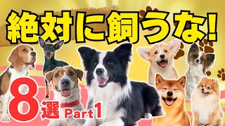 【本当はヤバイ人気犬種 8選 part1】飼いにくくて後悔している理由を解説