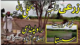 زرعی رقبہ برائے فروخت | 100% Gurantee | Agriculture land For sale | Business Point