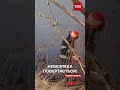 Троє людей уже з гинули Трагедії через спалювання сухої трави 