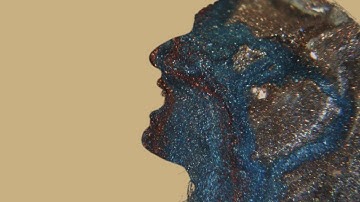 This is Not an Elephant - Moonhunter (Official Music Video)