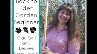 Back to Eden Garden Beginner Clay Soil and Leaves Experiment