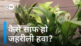 प्रकृति की मदद से हवा को साफ करने में जुटे नौजवान [Cleaning polluted air with help of nature ]