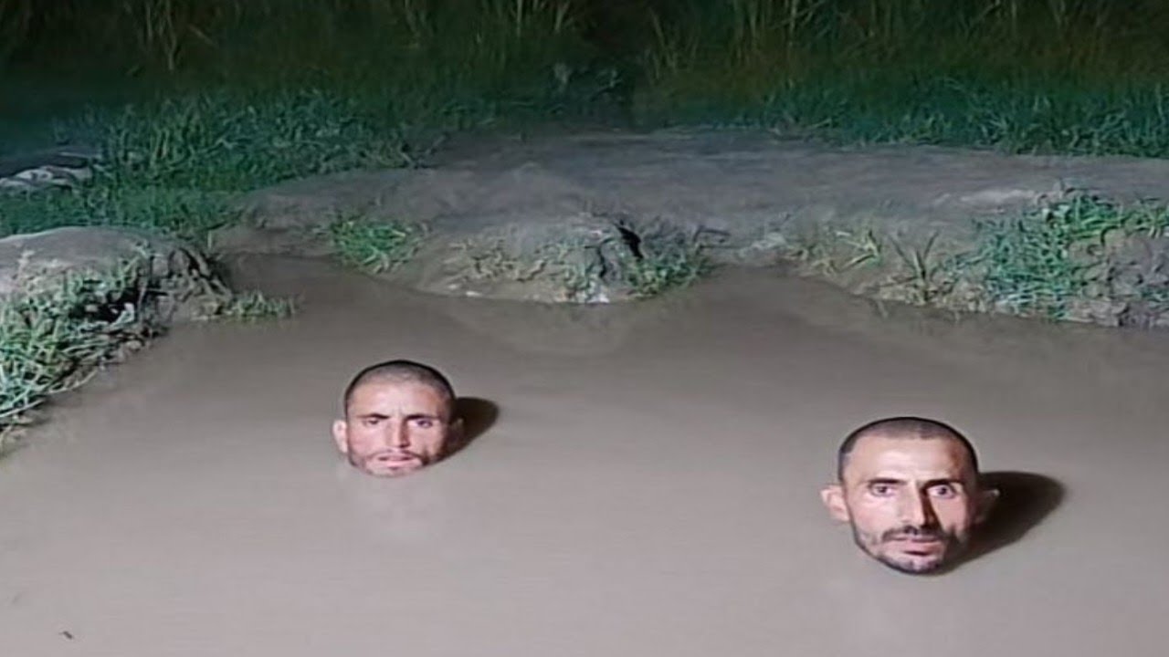 Абсурдный мем, который я нашел во время челленджа