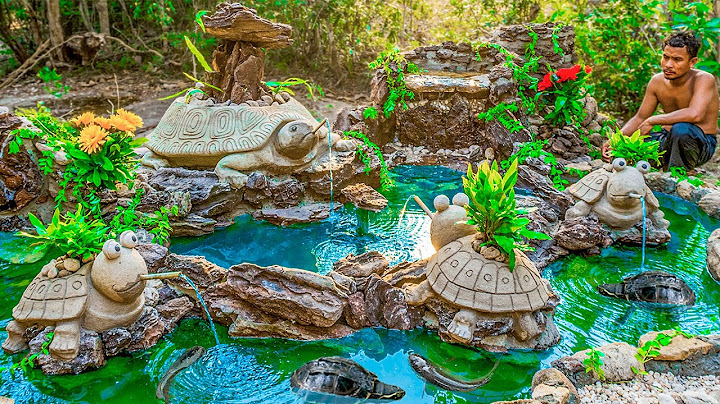 Rescue Turtle From Dry Up Place Build Tortoise Pond And Fish Pond