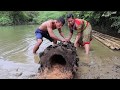Survival Skills Primitive - Catch a big catfish nest under a rotten coconut tree - Delicious catfish