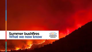 Future of bushfires The Latest from Science with Dr Michael-Shawn Fletcher [Ep. 16]