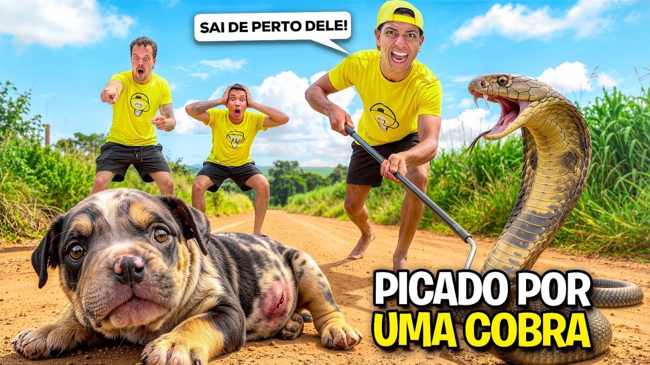 MEU CACHORRINHO FOI PICADO POR UMA COBRA *O Tropão está bem ?