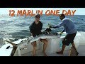 Cabo San Lucas Marlin Fishing - Luxury Yacht