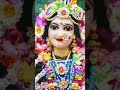 kishori tere charnan me 🌹🙏🌹#krishna #youtubeshorts @VaishnavTilak