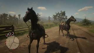 Red Dead Redemption 2_20231015134535