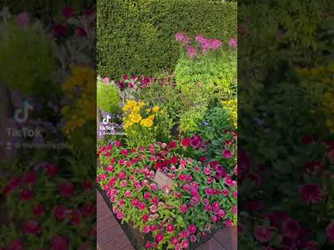 Chicago Botanic Garden!? Mini Vlog Part 1!☺️