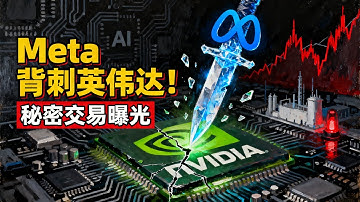 Meta“背叛”英伟达！AI芯片最大的雷爆了？揭秘华尔街都不敢细说的真相 #黑天鹅 #半导体 #科技股内幕 | 顶吉聊财经