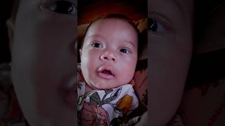 Cute Baby Bayi Lucu Baby Shima