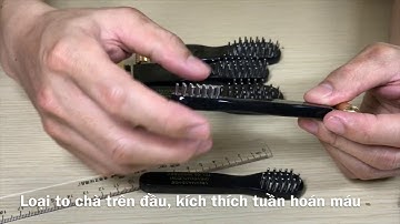 Bàn chải tiên lăng đồng láng - Lăn đồng gai - Diện Chẩn