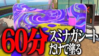 60分あればスミナガシートだけでも全部の床塗れる説【スプラトゥーン3】