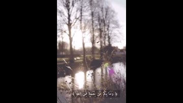 وما بكم من نعمة فمن الله.💜 القارئ عبدالرحمن مسعد