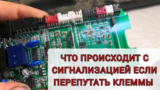 Будьте осторожны!!! Чем может обернуться переполюсовка клемм аккумулятора для сигнализации StarLine.