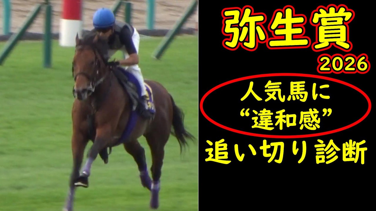 【弥生賞2026追い切り診断】人気馬に違和感…明暗分かれた最終調教評価｜皐月賞トライアル徹底考察