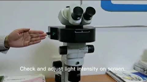 How to use MSHOT MZX-BGU-LED fluorescence illuminator for stereo-fluorescence microscope?