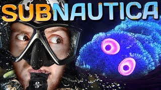 видео: НОВЫЕ ОПАСНОСТИ ► Subnautica |3| Прохождение картинка: НОВЫЕ ОПАСНОСТИ ► Subnautica |3| Прохождение