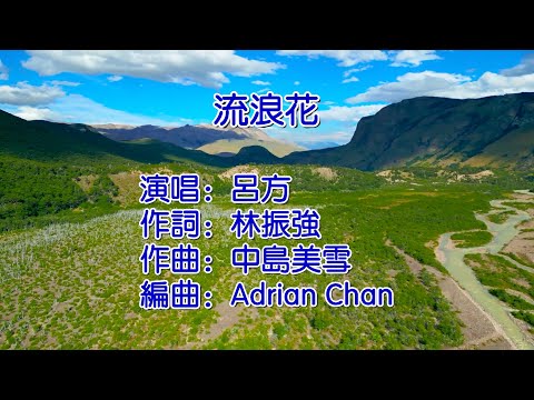 流浪花   吕方
