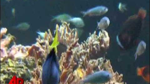 London Zoo Takes Animal Kingdom Census