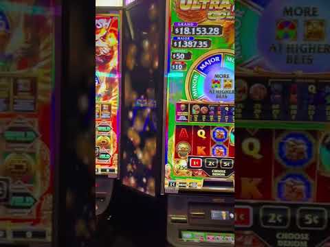 Casino life salsalaya