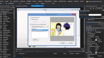 colocar gif en visual basic