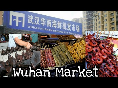Video: Waar ligt Wuhan-China?