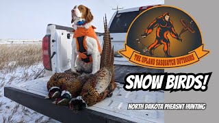 Snow Birds Pheasant Hunting North Dakota