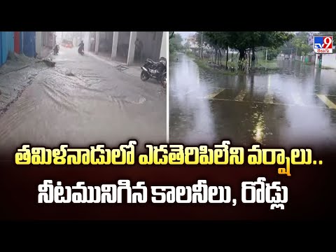తమిళనాడులో ఎడతెరిపిలేని వర్షాలు.. నీటమునిగిన కాలనీలు, రోడ్లు - TV9 - TV9