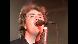 The Icicle Works - Birds Fly Whisper To A Scream (Meltdown 1987)