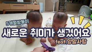 [브이로그]5개월쌍둥이 새로운 취미/발달상황/쌍둥이 육아 브이로그