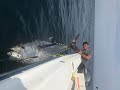 Cape Cod GIANT Bluefin Tuna Fishing Mid-Summer EPIC Footage POV