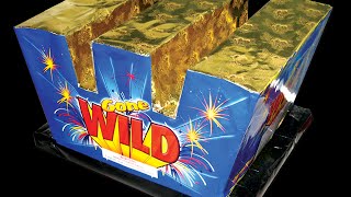 Gone Wild - Firework Finale with maximum air coverage!