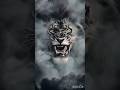 Lion attitude #youtubeshorts #shortvideo #attitude #attitudestatus #lionking #attitudeboy #shorts …