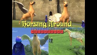 HORSING AROUND HARRY POTTER HOGWARTS MYSTERY