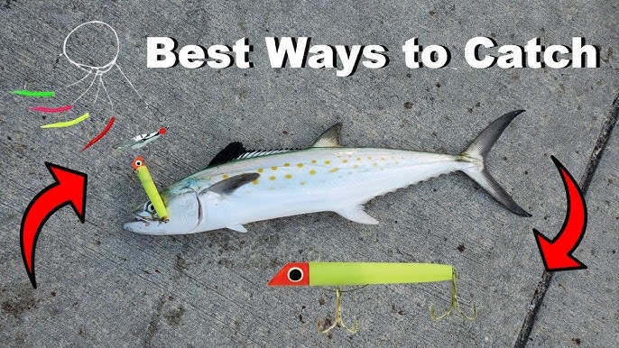 Got-Cha Fishing Lure Review: Is This The Best Plug For Pier