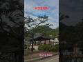 괴산읍에서/In Goesan-eup #shorts 산책 길에/On the way to walk #윤드림 /Yoon Dream