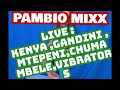 MEGA PAMBIO TSANY BADAGA MIX PAMBIO