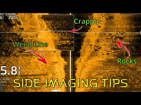 How to use Side Imaging in weeds - Fall Fishing