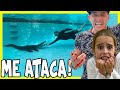 **PISCINA TOXICA** ESTO FUE LO QUE PASO 😱