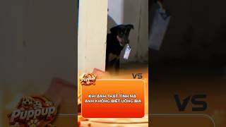 ảnh thất tình mà ảnh kb uống bia #chomeo #pets #viral #funny