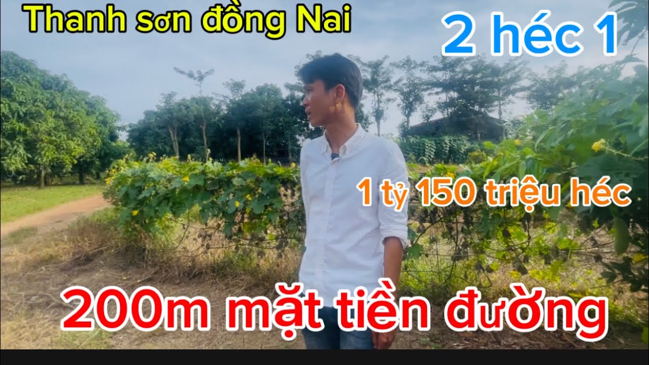 Cần bán 2 héc 1 có 200m mặt tiền đường lớn gần lòng hồ trị an 