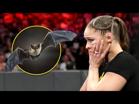 Ronda Rousey meets a bat at ringside during Raw