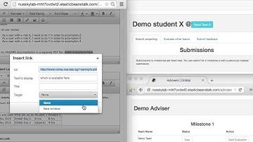 [NUS Orbital 2015] Peer Evaluation Process