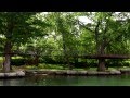 Lake Austin Living - Experience Waterfront Lifestyles & Luxury