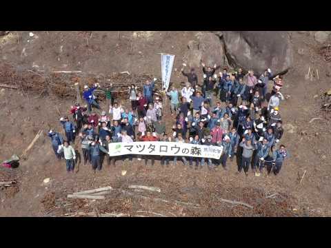 株式会社ニューステラ