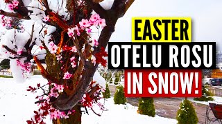 Walking in Snow pre Orthodox Easter Time | Easter Flower, Easter Snow | Spring Walk in April 2021